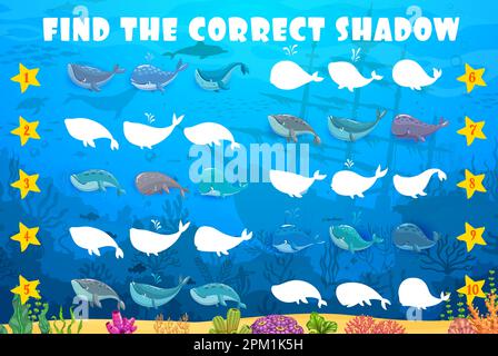 Trova l'ombra corretta di balena, cachalot e spermatozoi personaggi cartoni animati balena, paesaggio subacqueo. Kids vettore matching gioco, riddle foglio di lavoro con Illustrazione Vettoriale
