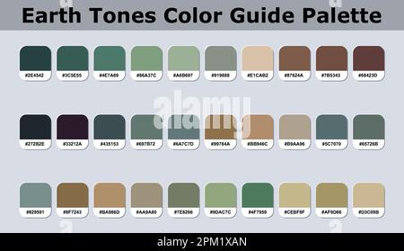 Set di toni della Terra colore tavolozza Catalogo campione con RGB CODICI ESADECIMALI isolati in gruppi per UI Design, Moda, interni e progettazione di siti web Illustrazione Vettoriale