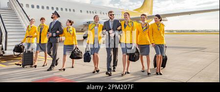 I lavoratori aerei con valigie di viaggio che camminano lungo il campo aereo Foto Stock