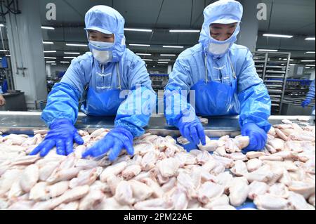 SUQIAN, CINA - 11 APRILE 2023 - i lavoratori producono prodotti a base di pollo in una fabbrica di prodotti alimentari a Suqian, nella provincia di Jiangsu della Cina orientale, il 11 aprile 2023. Foto Stock