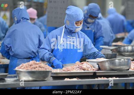 SUQIAN, CINA - 11 APRILE 2023 - i lavoratori producono prodotti a base di pollo in una fabbrica di prodotti alimentari a Suqian, nella provincia di Jiangsu della Cina orientale, il 11 aprile 2023. Foto Stock