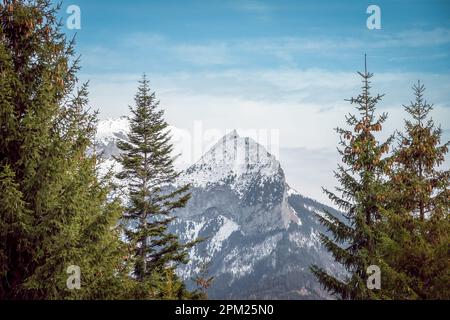 Cima di montagna coperta di neve che emerge da alti alberi di abete rosso. Monti Tatra, Polonia Foto Stock
