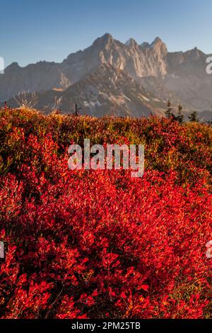 Vista da Roßbrand a Hoher Dachstein, Monti Dachstein, Salisburgo, Austria Foto Stock