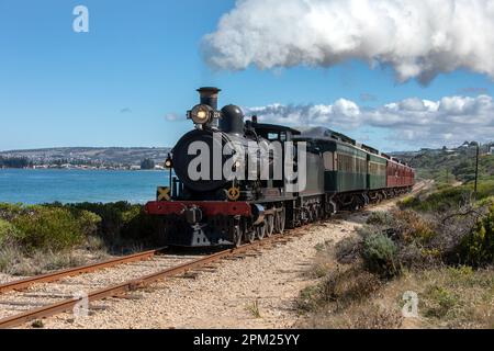 Il Cockle Train guidato da Engine RX 224, una locomotiva a vapore costruita nel 1915, viaggia lungo la ferrovia costiera a Victor Harbor, nell'Australia Meridionale. Foto Stock