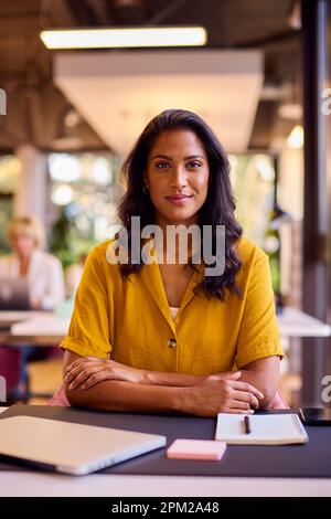Ritratto di donna d'affari matura con notebook e portatile alla scrivania in ufficio Foto Stock