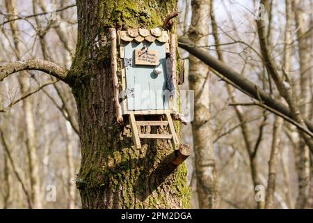 Casa dei gufi, un luogo in legno di cento acri dove il carattere AA Milne Owl si dice di vivere. Ashdown Forest, Sussex, Regno Unito Foto Stock