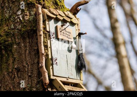 Casa dei gufi, un luogo in legno di cento acri dove il carattere AA Milne Owl si dice di vivere. Ashdown Forest, Sussex, Regno Unito Foto Stock