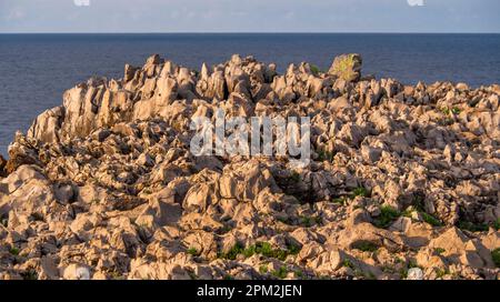 Costa rocciosa, scogliere di Pría, formazione carsica, Bufones de Pría, Paesaggio protetto della costa orientale delle Asturie, Lames de Pría, Asturie, Spagna, UE Foto Stock