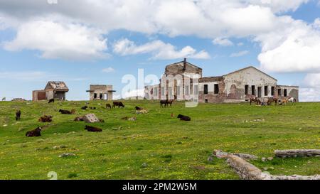 Vecchia stazione della funivia del comprensorio sciistico di Bakuriani, edificio abbandonato sulla strada M-20 al Passo Tskhratskaro, con bestiame che pascola intorno, Georgia. Foto Stock