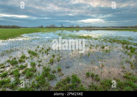 Nuvole di pioggia scure su un prato allagato, vista serale di primavera Foto Stock