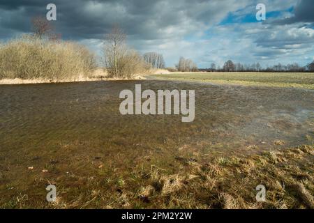 Cielo nuvoloso su un prato allagato in una giornata ventosa, Nowiny, Lubelskie, Polonia Foto Stock