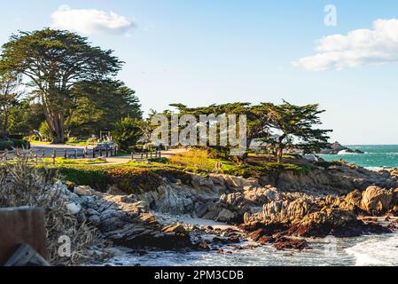 Costa rocciosa di Pacific Grove, California. Foto Stock