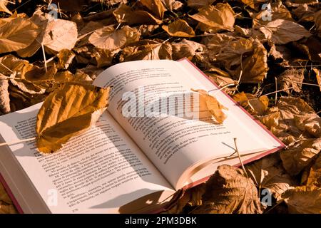 distesa di foglie colorate in autunno. atmosfera serena e rilassante. c'è un libro aperto tra le foglie. le foglie sono soffiate dal vento. Foto Stock