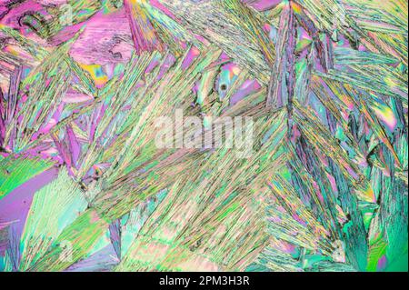 Cristalli di urea su un vetrino per microscopio Foto Stock