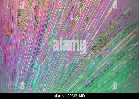 Cristalli di urea su un vetrino per microscopio Foto Stock