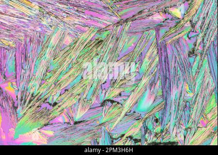 Cristalli di urea su un vetrino per microscopio Foto Stock