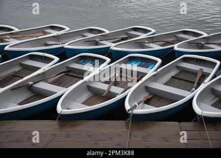 Barche a remi sul fiume Katsura Arashiyama, Kyoto, Giappone. Foto Stock