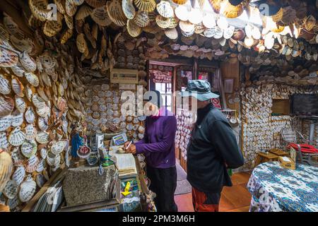 Spagna, Galizia, Laza, borgo Albergueria, tappa sulla Via de la Plata via Ourense o Camino Sanabres, itinerari di pellegrinaggio spagnolo a Santiago de Compostela, il famoso bar El Rincon del Peregrino il cui interno è coperto da migliaia di conchiglie di capesante su cui i pellegrini hanno lasciato il loro nome Foto Stock