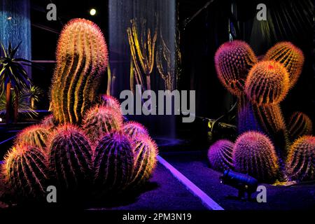 Francia, Alto Reno, Mulhouse, zona fieristica, Folie'Flore, giardini effimeri, nel mese di ottobre di ogni anno Foto Stock