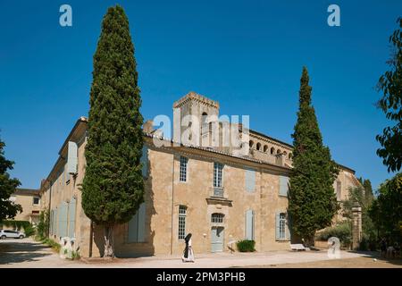 Francia, Gers, Boulaur, abbazia cistercense di San Marie, la chiesa abbaziale, vista generale Foto Stock