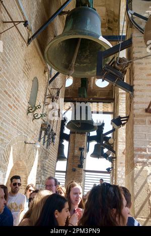 Le campane all'interno della Giralda nella Catedral De Sevilla. Ufficialmente chiamata Santa Maria de la Sede. Siviglia Spagna. La torre è alta 97,5m m. Foto Stock