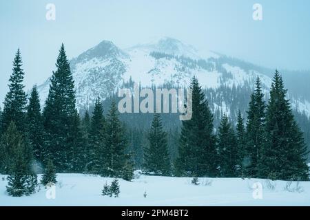 Neve scenario di montagna, Montezuma, Colorado Foto Stock
