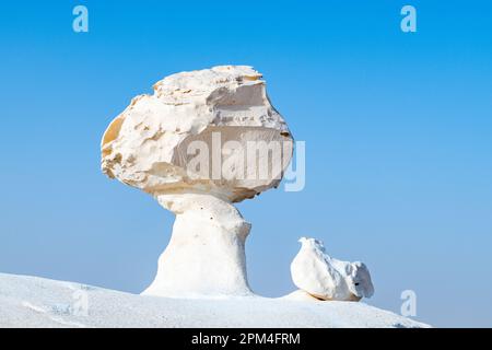 Il fungo e gesso di uccello affiorano nel deserto bianco a Bahariya in Egitto Foto Stock