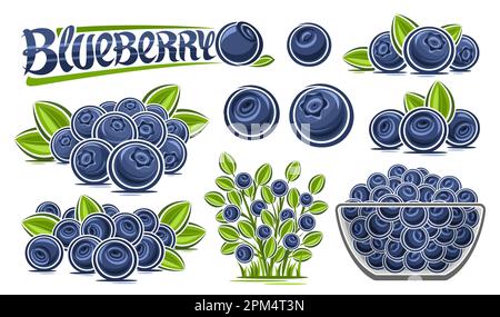 Set Vector Blueberry, raccolta lotto di illustrazioni taglio mirtillo ancora vita composizione con bacche blu con foglie verdi, mirtilli crudi in gla Illustrazione Vettoriale