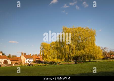 Una primavera soleggiata HDR immagine del villaggio verde e stagno nel pittoresco villaggio di Nun Monkton nel North Yorkshire, Inghilterra. 02 aprile 2023 Foto Stock