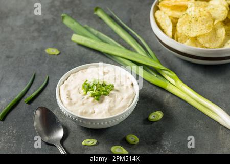 Panna acida fatta in casa e salsa di cipolle in una ciotola Foto Stock