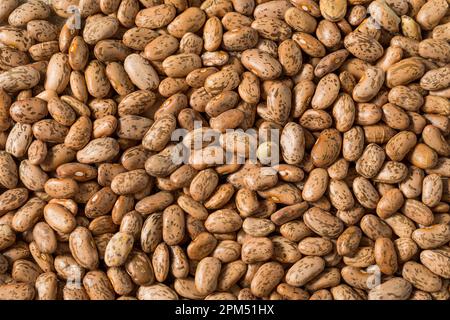 Fagioli di Pinto grezzi organici asciutti in una ciotola Foto Stock