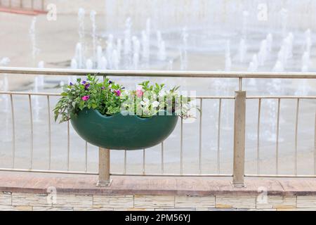 Letto di fiori con fiori rosa decorativi Foto Stock