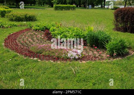 Letto di fiori con fiori rosa decorativi Foto Stock
