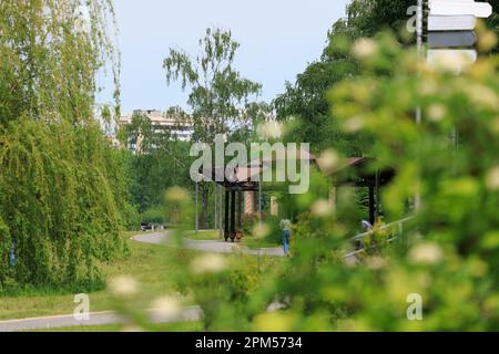 Letto di fiori con fiori rosa decorativi Foto Stock