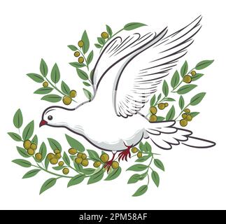 Immagine realistica vettoriale di colomba bianca di pace che vola con ramoscello verde di oliva isolato su sfondo bianco con spazio per testo eps 10 Illustrazione Vettoriale
