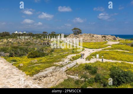 Rovine dell'antica città-regno dell'età del ferro di Salamis vicino ad Agios Sergios, Cipro Foto Stock