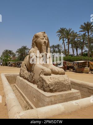 Sfinge di alabastro in Egitto catturato in una giornata di sole Foto Stock