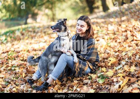 giovane donna cammina il suo cane in un parco autunnale pieno di foglie Foto Stock