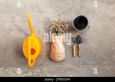 fiori di balcone su carta pergamena accanto a attrezzi da giardino e pentole Foto Stock