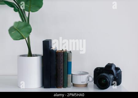 Scaffale interno per ufficio con pianta, libri, macchina fotografica, tazza Foto Stock