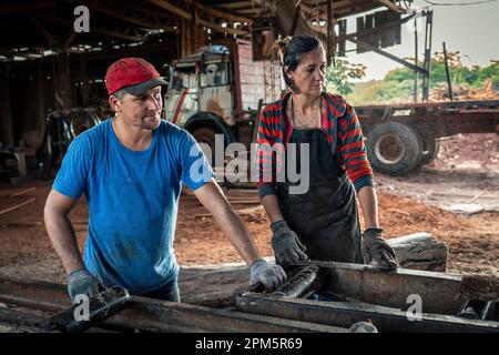 Marito e moglie lavorano insieme in una segheria. Famiglia di affari. Lavoro manuale che richiede forza e attenzione. Foto Stock