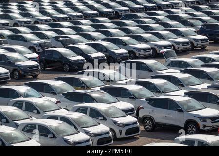 Eilat, israele - 25 novembre 2022: Alto angolo di molte moderne auto bianche identiche parcheggiate su strada asfaltata in fabbrica industriale per la vendita made in Israel Foto Stock