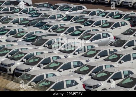 Eilat, israele - 25 novembre 2022: Alto angolo di molte moderne auto bianche identiche parcheggiate su strada asfaltata in fabbrica industriale per la vendita made in Israel Foto Stock