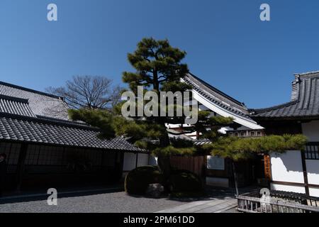 Kyoto, Arashiyama; il Tempio Daikakuji, l'ex Palazzo Saga, il tempio principale del Buddismo Shingon. Foto Stock