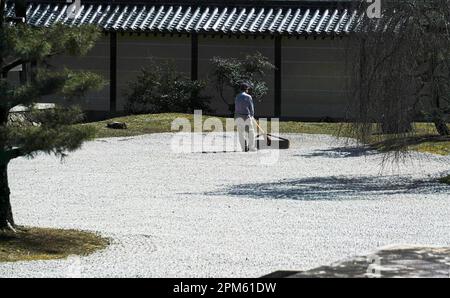 Kyoto, Arashiyama; il Tempio Daikakuji, l'ex Palazzo Saga, il tempio principale del Buddismo Shingon. Foto Stock