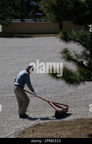 Kyoto, Arashiyama; il Tempio Daikakuji, l'ex Palazzo Saga, il tempio principale del Buddismo Shingon. Foto Stock