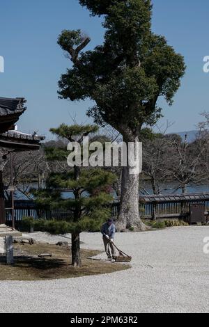 Kyoto, Arashiyama; il Tempio Daikakuji, l'ex Palazzo Saga, il tempio principale del Buddismo Shingon. Foto Stock