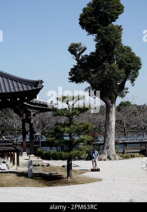 Kyoto, Arashiyama; il Tempio Daikakuji, l'ex Palazzo Saga, il tempio principale del Buddismo Shingon. Foto Stock