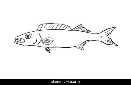 Disegno di linea in stile cartoon di un pesce oleoso Ruvettus pretiosus una specie di pesce sgombro serpente un pesce endemico delle Hawaii e dell'arcipelago hawaiano sull'isolo Foto Stock