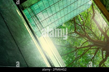 Edificio verde e di sostenibilità. Edificio ecologico nella città moderna. Edificio sostenibile in vetro per uffici con albero per ridurre il biossido di carbonio. Ufficio Foto Stock